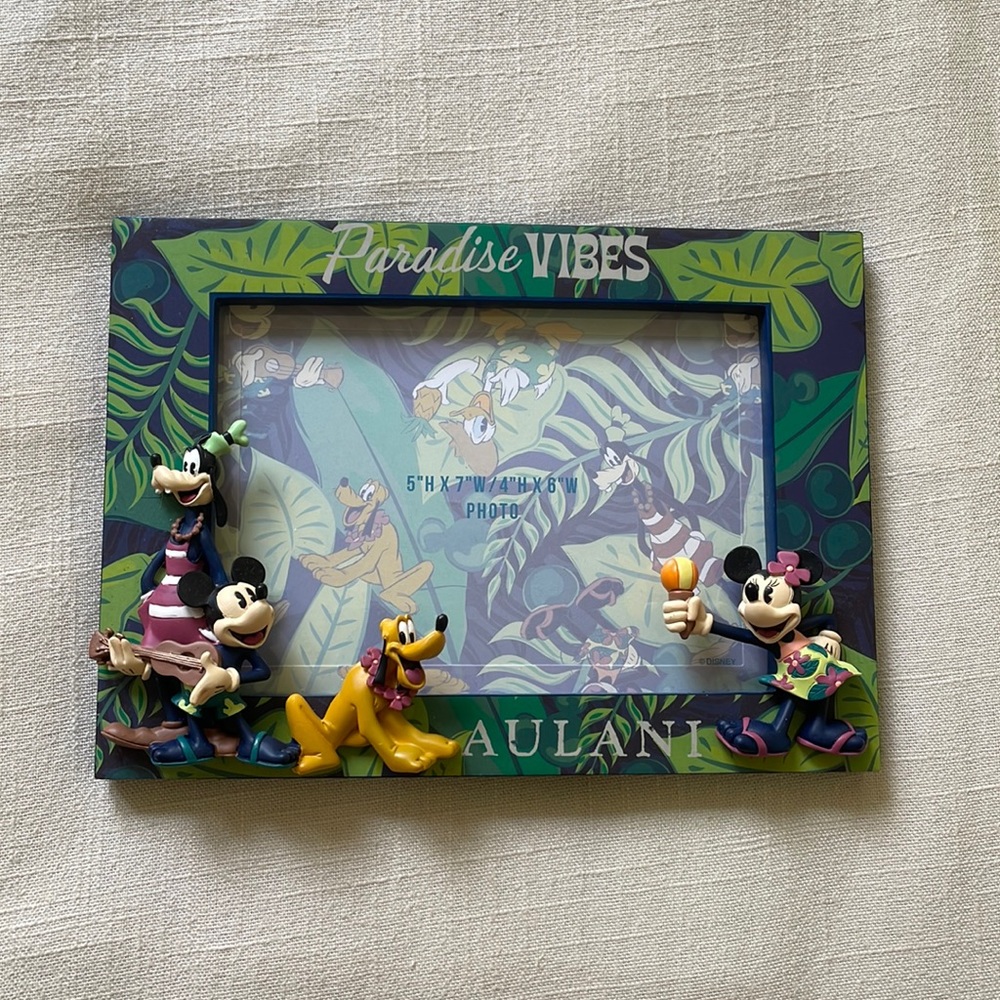 Hawaii Disney Aulani Frame